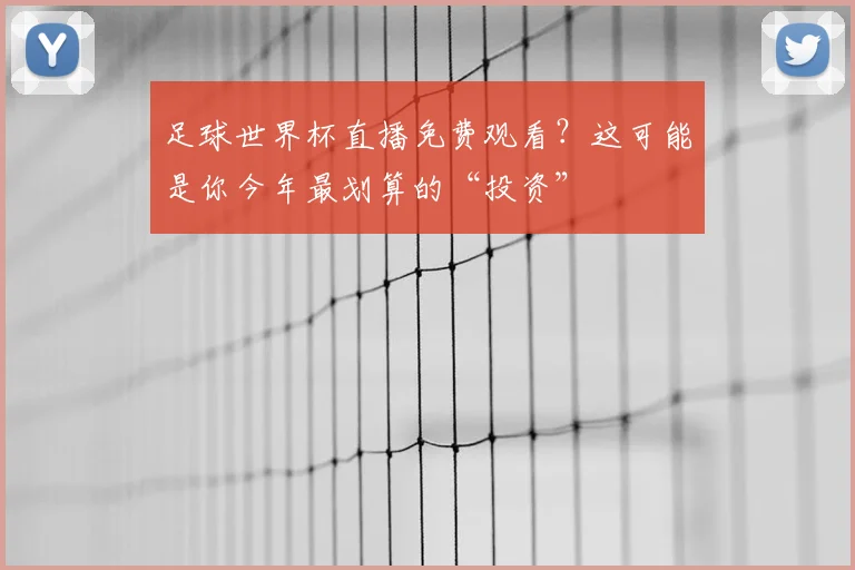 足球世界杯直播免费观看?这可能是你今年最划算的“投资”